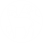 herrnhuter losung